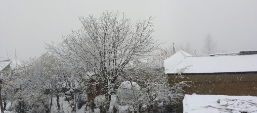 हुम्ला, माथिल्लो मुगु र रारा क्षेत्रदेखि मनाङमा हिमपात